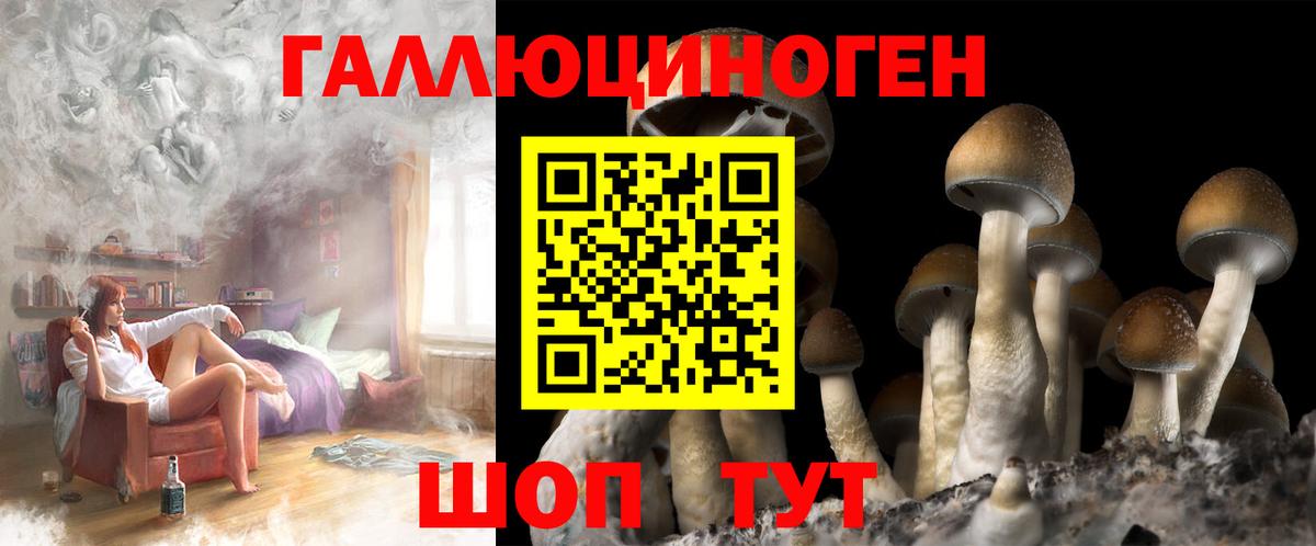 Галлюциногенные грибы Cubensis Барабинск